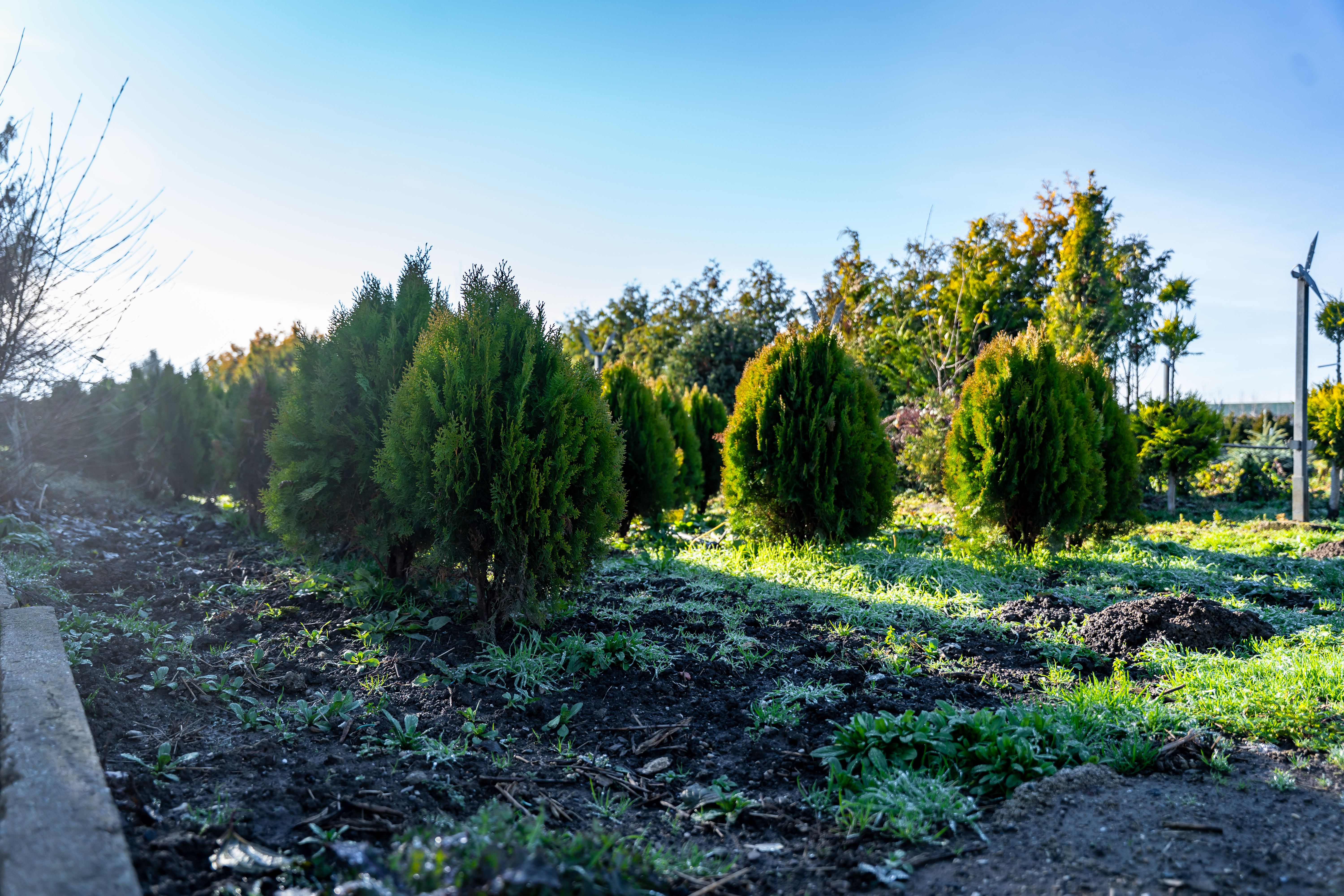 Kontrolna cinnost - Kompostaren mesta Kosice-32